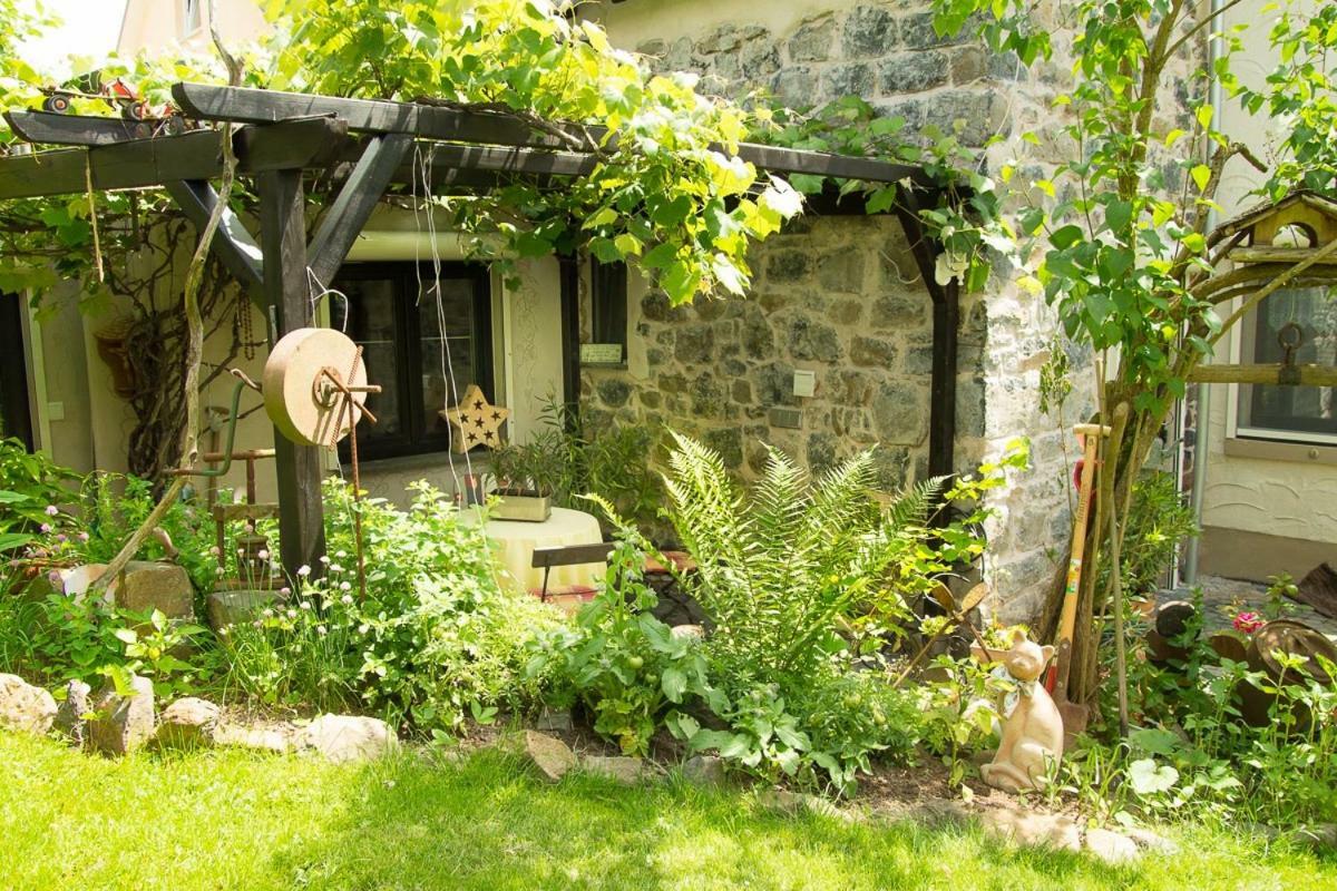 Апартаменти Auszeit Flair Der Provence Hausen  Екстер'єр фото